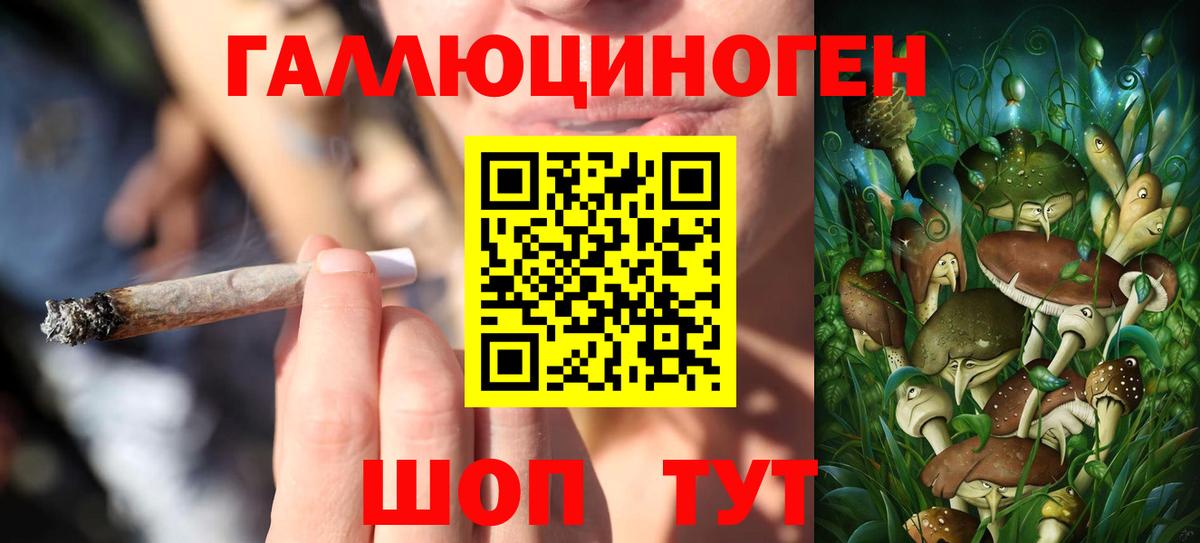 Трёхгорный  Псилоцибиновые грибы MAGIC MUSHROOMS  Вход с VPN 